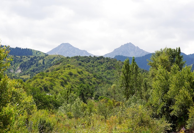 montagne paesaggio