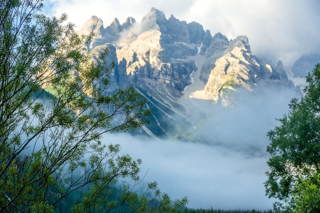 Montagne rocciose e nebbia fitta