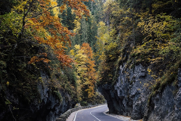 Montagne rocciose potenti, strada e paesaggio autunnale. Autostrada in montagna.