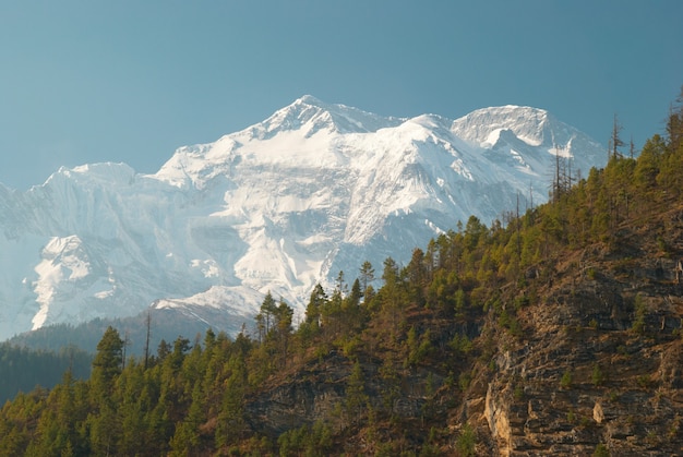 Montagne tibetane innevate, vista dal trekking dell'Annapurna