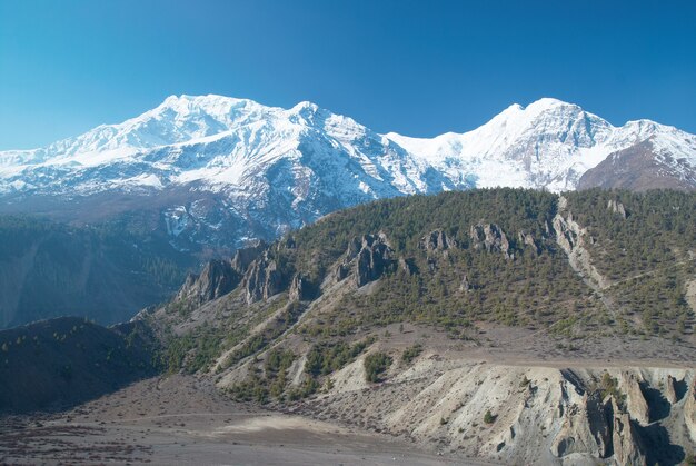 Montagne tibetane innevate, vista dall'Annapurna trek