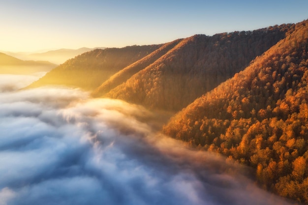 Montagne tra nuvole basse all'alba in autunno Vista aerea di cime montuose e alberi rossi nella nebbia in autunno Bellissimo paesaggio con colline nebbiose foresta raggio di sole Vista dall'alto della valle di montagna