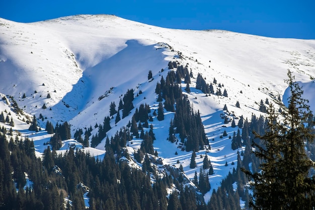 Montagne Transili Alatau