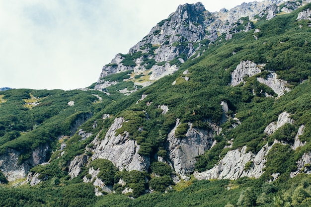 Montagne, Valle dei cinque laghi, Polonia, Zakopane