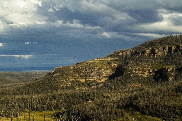 Montagne verdi con un cielo azzurro e alcune nuvole