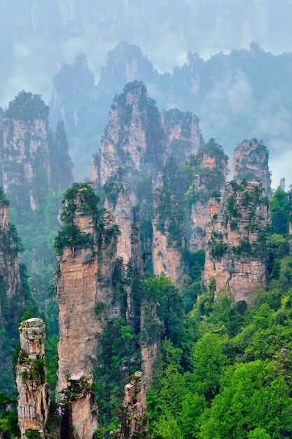 Montagne Zhangjiajie, Cina