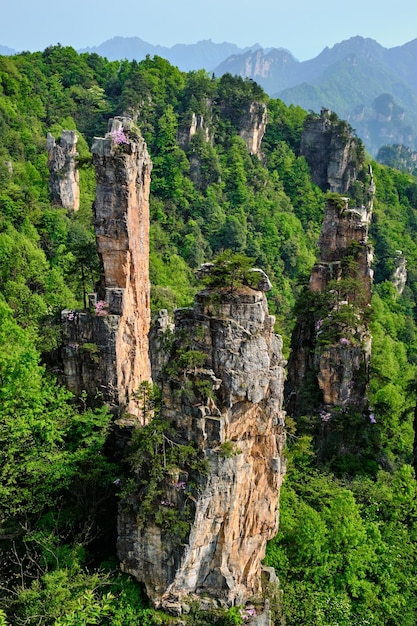 Montagne Zhangjiajie Cina