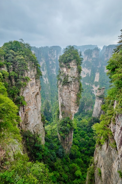 Montagne Zhangjiajie, Cina