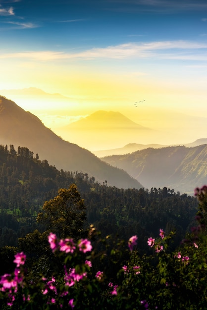 Montare. Bromo al parco nazionale di Bromo tengger semeru