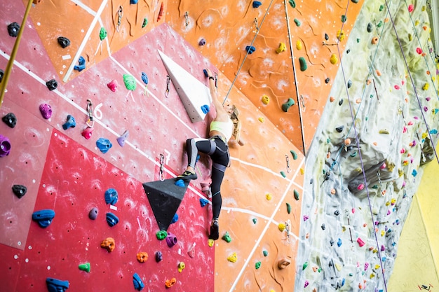 Montare la bionda arrampicata indoor