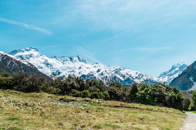 monte aoraki cucinare la montagna più alta della nuova zelanda