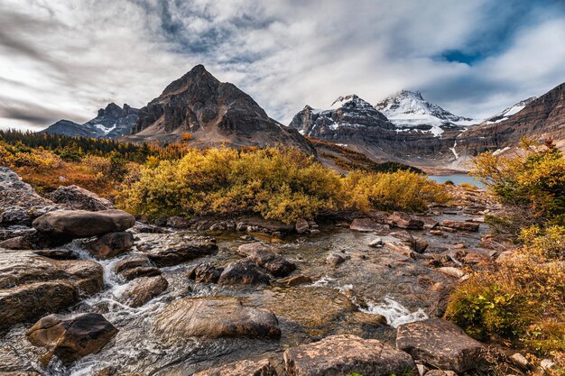 Monte Assiniboine con ruscello che scorre nel deserto dorato al parco provinciale, BC, Canada