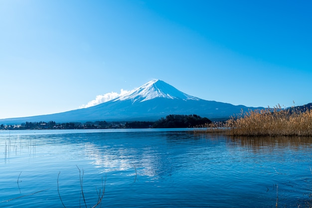 Monte Fuji con Lago Kawaguchiko e cielo blu