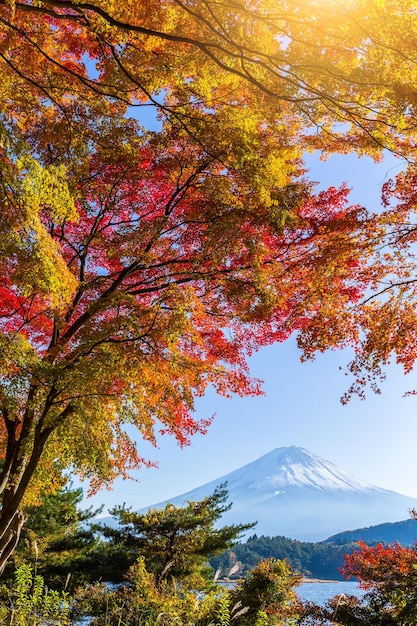 Monte Fuji con lago