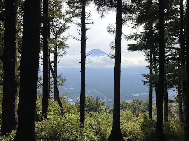 Monte Fuji - Giappone