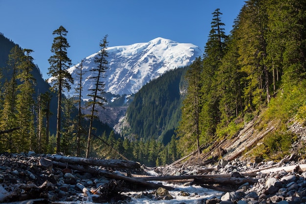 Monte Rainier