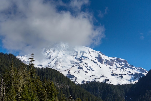 Monte Rainier