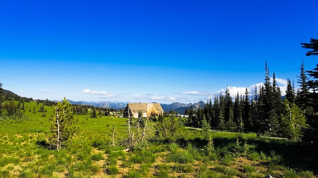 Monte Rainier