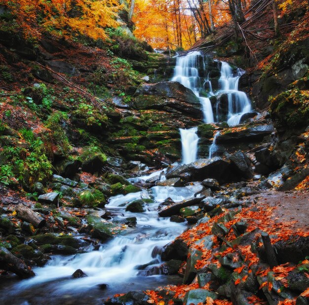 Monti Carpazi. Cascata d'autunno