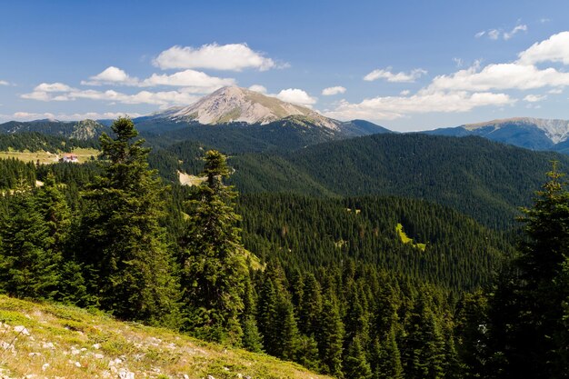 Monti Ilgaz Kastamonu Turchia