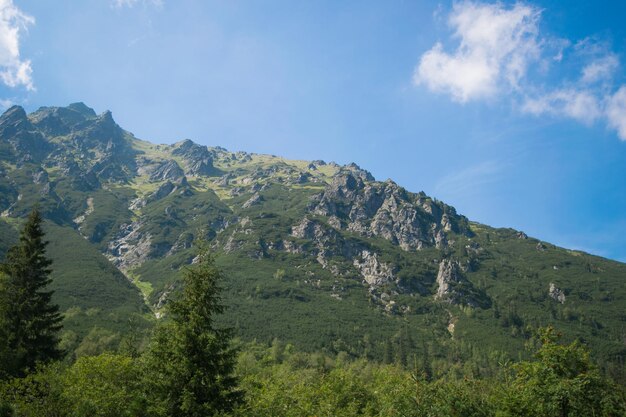 Monti Tatra Vista sulle montagne ricoperte di foreste