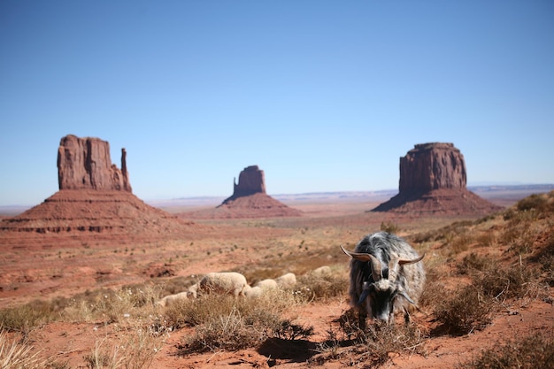 Monument Valley, UtahArizona, Stati Uniti