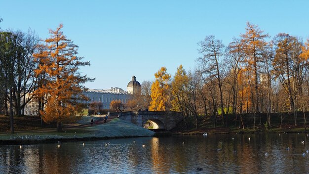 Monumento storico Parco d'autunno laghi e ponti Museo statale Riserva Gatchina