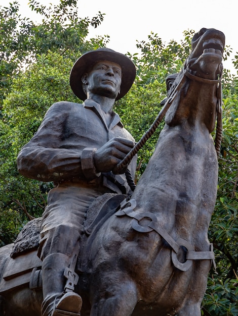 Monumento tributo a Pedro Ludovico Teixeira in Plaza Dr. Pedro Ludovico Teixeira