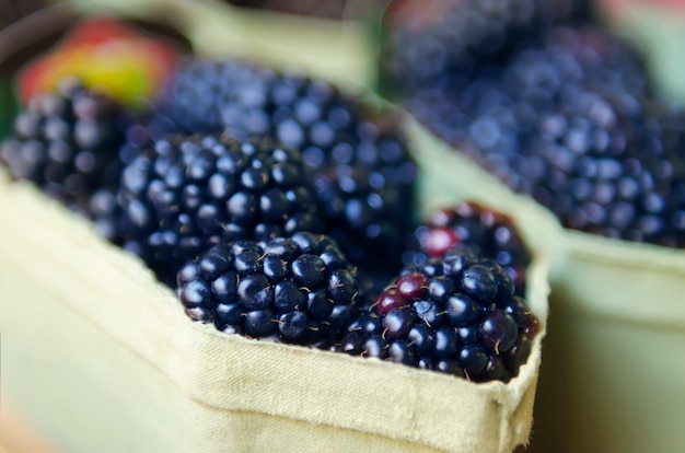 Mora fresca al mercato in scatole di carta, fondo sano organico dell'alimento locale