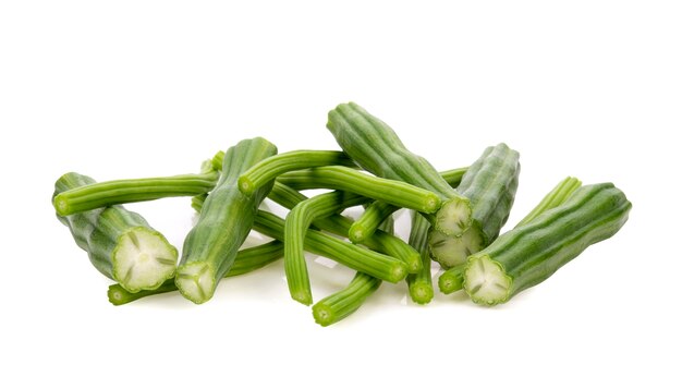 Moringa isolata su sfondo bianco