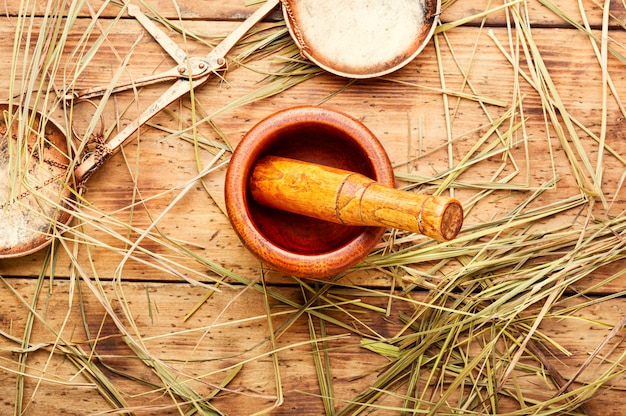 Mortaio con erba medicinale sweetgrass o erba santa. Medicina di erbe.