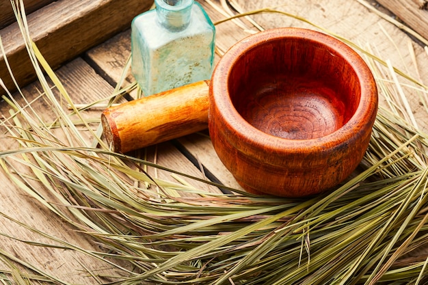 Mortaio con erba medicinale sweetgrass o erba santa. Medicina di erbe.