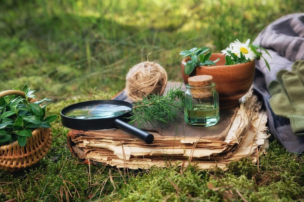 Mortaio di erbe medicinali vecchio libro cesto bottiglia di infusione e lente d'ingrandimento su un muschio verde