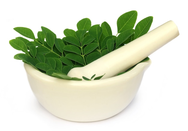 Mortaio e pestello con foglie di moringa medicinali su sfondo bianco