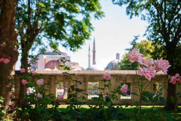 Moschea di Hagia Sophia in lontananza.