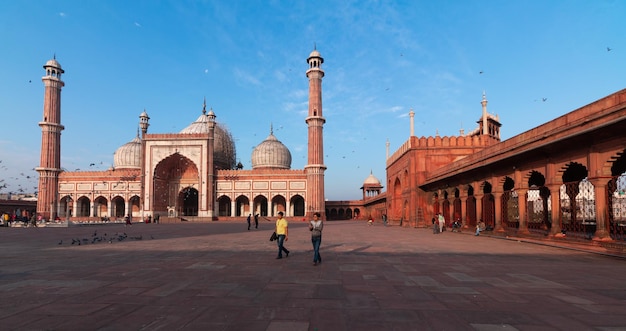 Moschea Jama Masjid Vecchia Delhi India