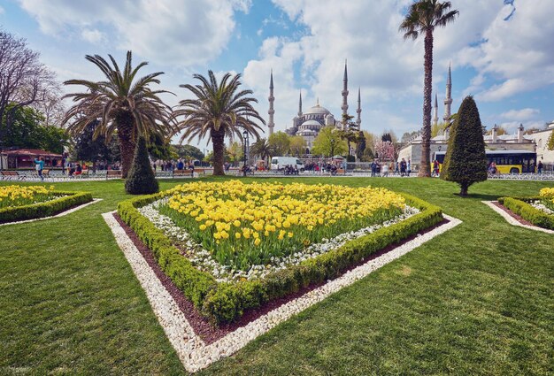 Moschea Sultan Ahmed a Istanbul Turchia in una bella giornata estiva