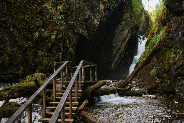 Moss acqua ruscello foglie pietre natura cascata paesaggio mistero tronco d'albero felci rotte