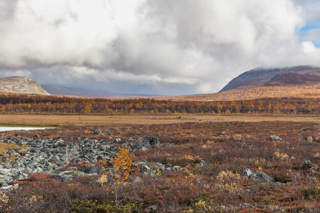 Mostra a Sarek National Park in autunno, Svezia