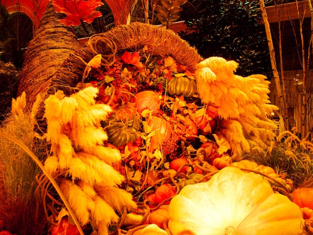 Mostra autunnale nei giardini del Bellagio Hotel, Las Vegas.