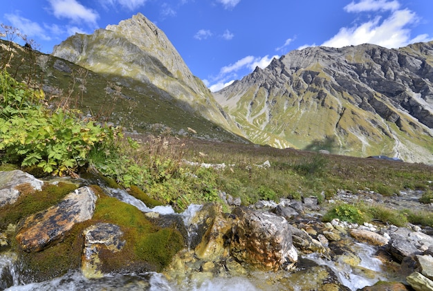 Mostra sulla montagna alpina in estate dall&#39;acqua che scorre tra le rocce