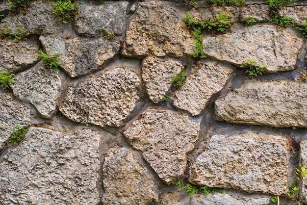 Motivo di sfondo Muro di pietre naturali rustiche con muschio verde e piante