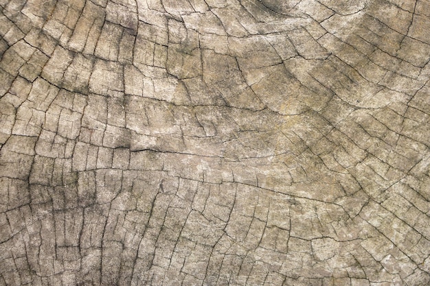 Motivo di sfondo sul pavimento in legno