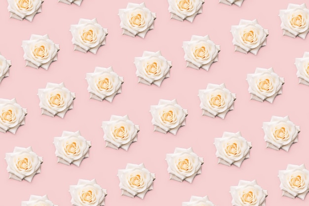 Motivo floreale a rosa bianca