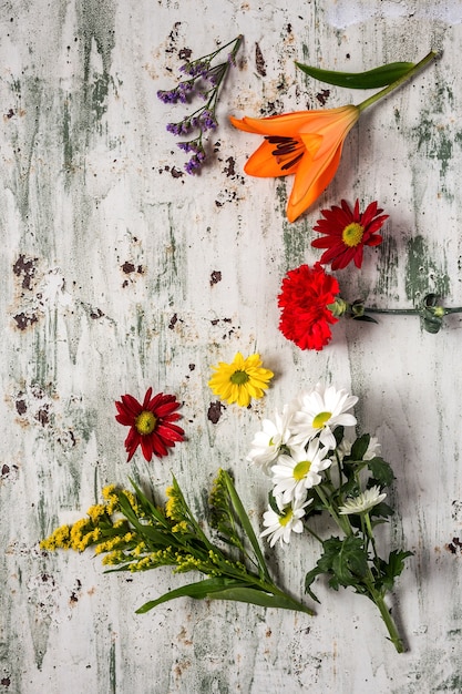 Motivo floreale con diversi fiori colorati