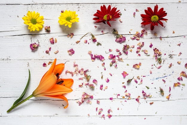 Motivo floreale con diversi fiori colorati