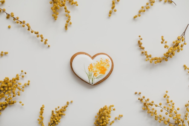 Motivo floreale di fiori di mimosa su sfondo bianco copia spazio cornice floreale