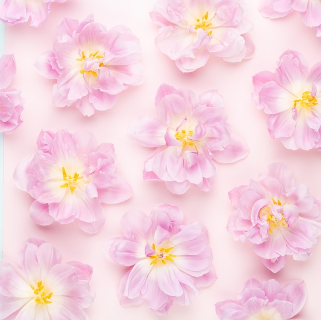 Motivo floreale di tulipani rosa su sfondo pastello