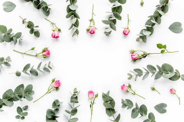 Motivo floreale fatto di rose rosa foglie verdi rami di eucalipto su sfondo bianco piatto laico in alto