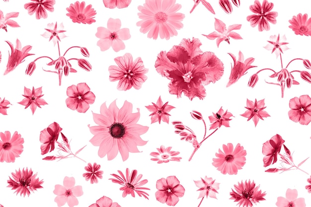 Motivo luminoso di fiori come sfondo o trama Colore dell'anno 2023 Vista dall'alto Posa piatta